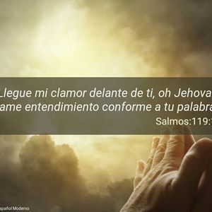 Meet your Posher, Jose